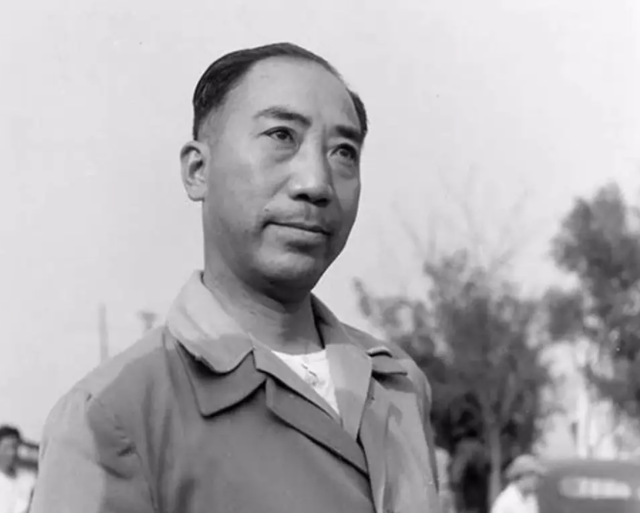 向华强是黑社会吗，向华强真正身份（香港新义安龙头家族）