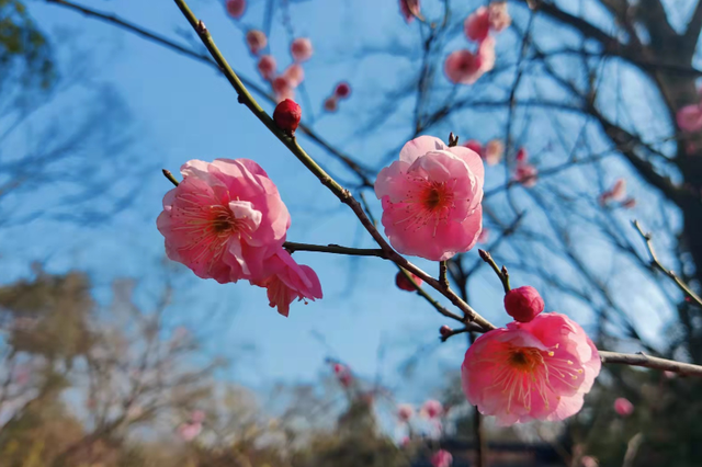 有城府的人的表现，城府深的人表现（有城府的领导都有这5点表现）
