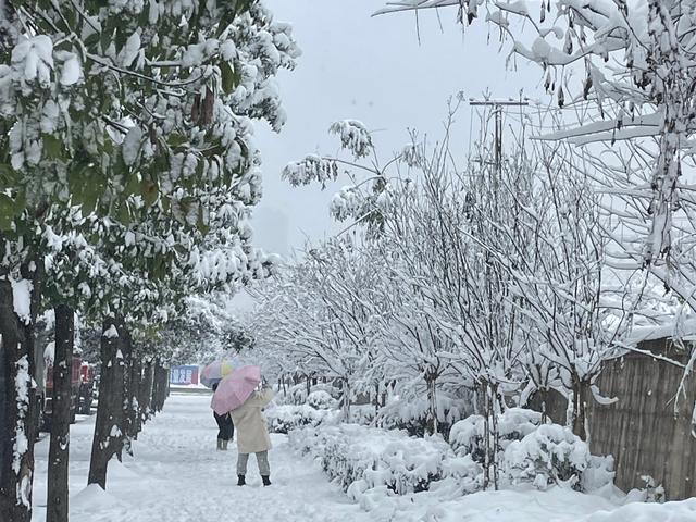 重庆的冬天冷吗一般在多少度，重庆冬天最冷的时候是多少度（秋裤加烤火炉依然瑟瑟发抖）