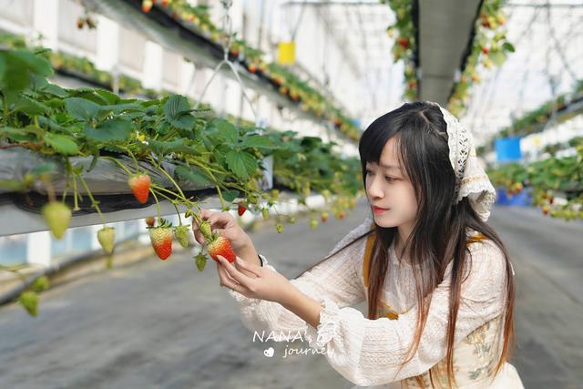 南京周边一日游，南京周边一日游去哪好（南京附近周末郊游地）