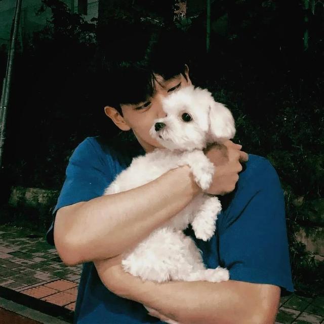 适合男人用的微信头像有哪些，好看的微信头像男人专用 个人私藏(2)（而不是解释自己）