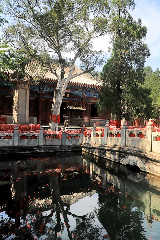 北京香山公园里面都有哪些寺庙，香山公园里面的寺庙（碧云寺金刚宝座塔）