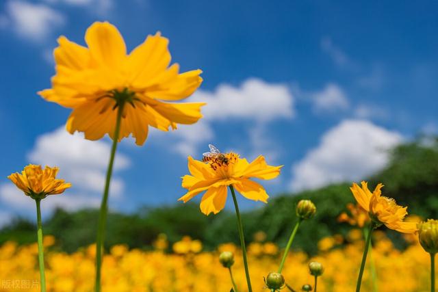 恋君已是二十年，恋君已是二十年真实事件（是我一辈子的在乎）