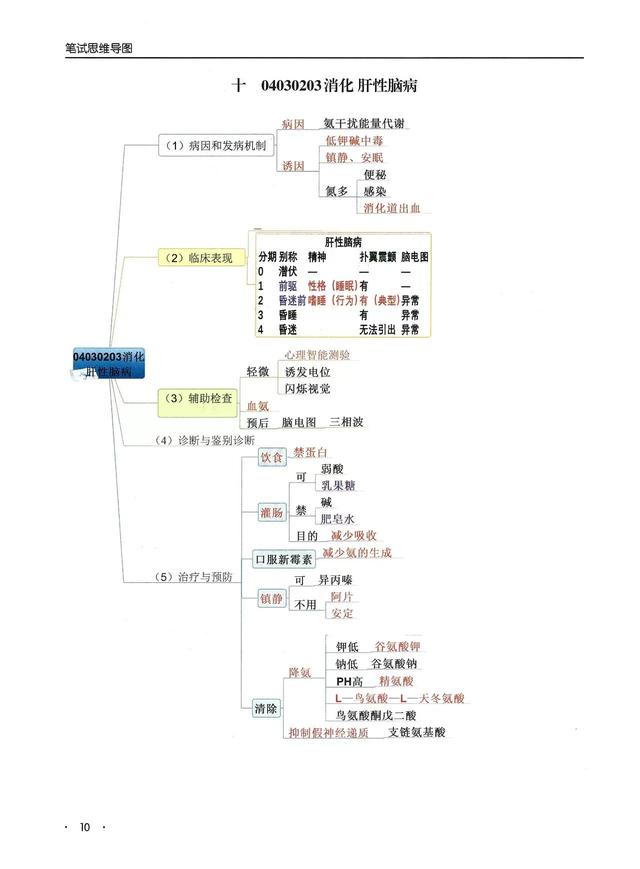 消化系统思维导图，人体消化系统部分知识的思维导图（临床专业消化系统——思维导图）