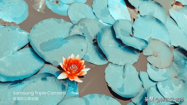 河南有几所985211大学，河南985211大学有哪些（4所学院或晋升为大学）