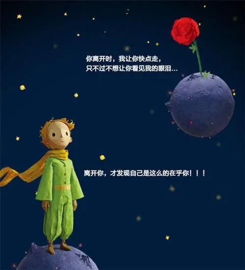 小王子和他的玫瑰花，小王子与他的玫瑰花