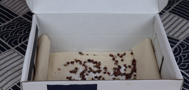 土豆怎么放不发芽，土豆怎么放才不发芽（放一年都不变青不发芽）