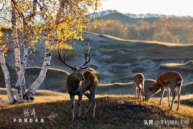 摄影学习的技巧和方法，作为摄影初学者