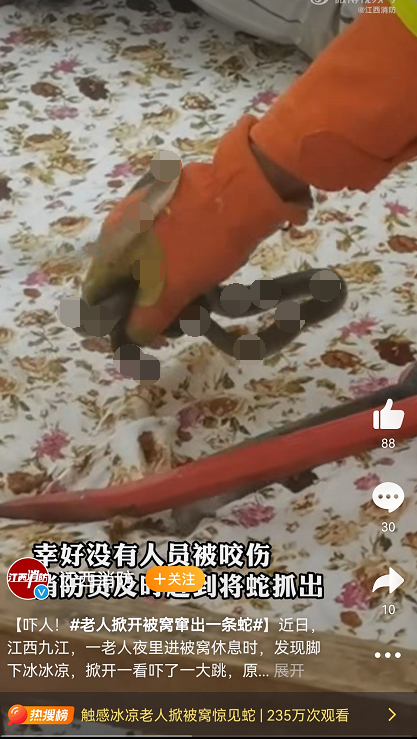 雄黄驱蛇是真的吗，驱蛇用雄黄还是硫磺（江西老人在被窝里摸到蛇）