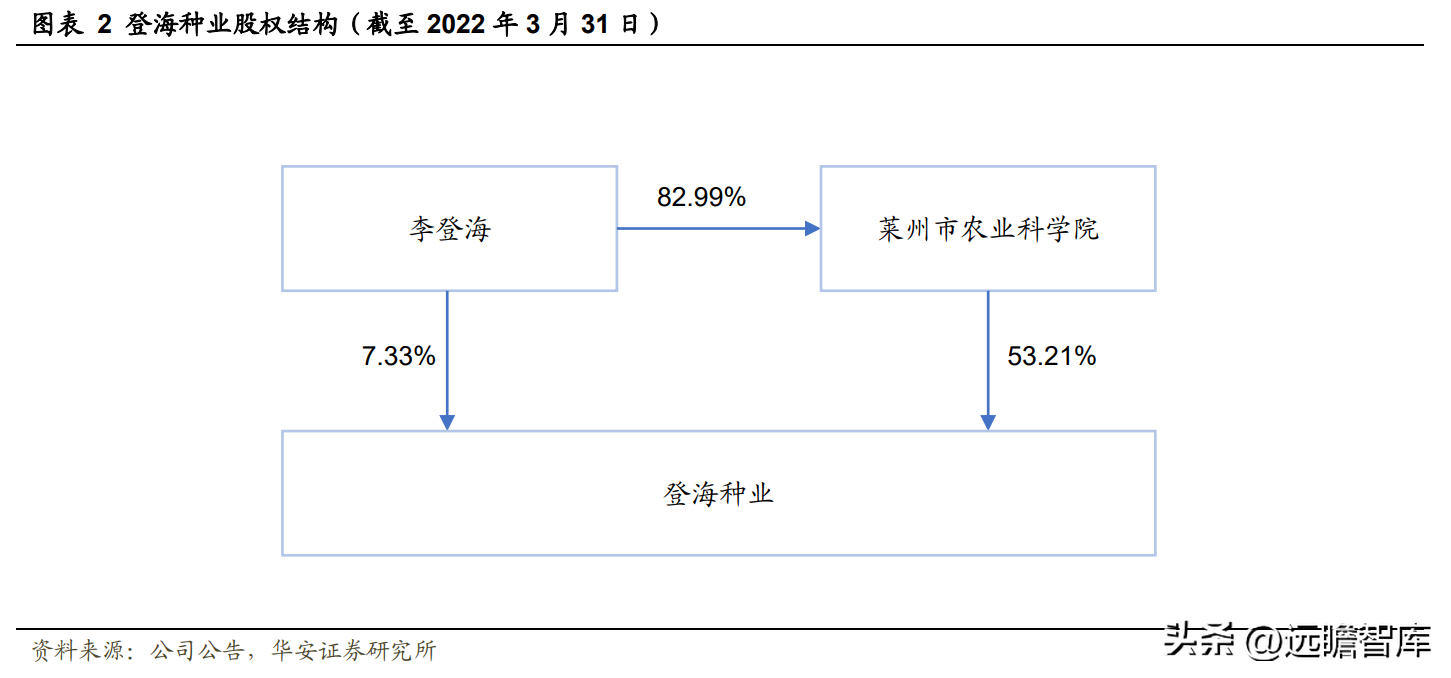 登海先锋种业（玉米种子领军企业）