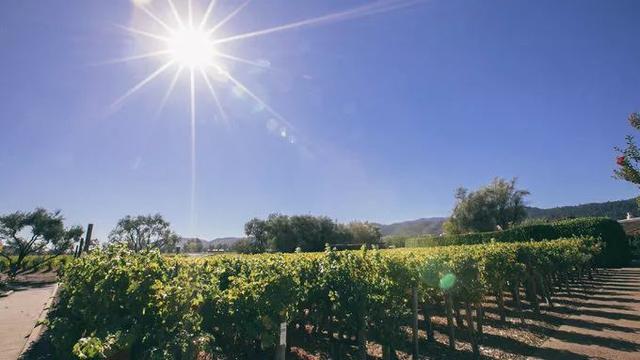 三藩市为什么叫旧金山，三藩市为什么叫旧金山地图（聊聊奥运冠军谷爱凌出生地——旧金山）