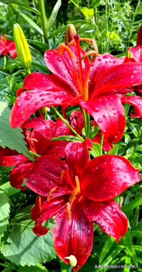 美美美的，美美美的表情包（壁纸美图）