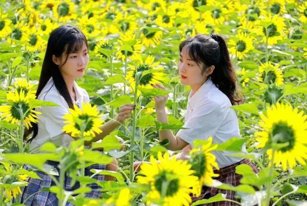 成都工商职业技术学校，四川工商职业技术学院2019年招生章程（打卡这所AAA级景区标准高校）