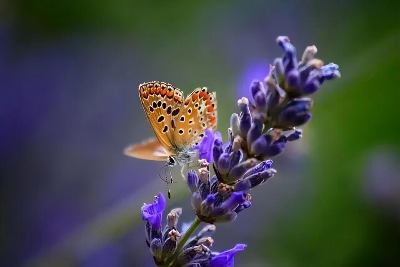 女人说忙证明什么意思（女人在微信上给你发这两个字）