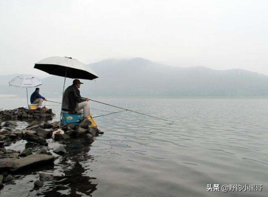 下雨天怎么钓鱼，下雨天怎么钓鱼比较好（入夏后不管新手还是老鸟）