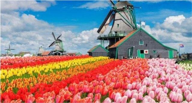 现代奥运会的起源与发展，现代奥运会的起源与发展的资料（冬奥会的由来）