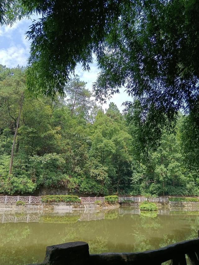 歌乐山森林公园，重庆主城700米高山-歌乐山森林公园乘凉