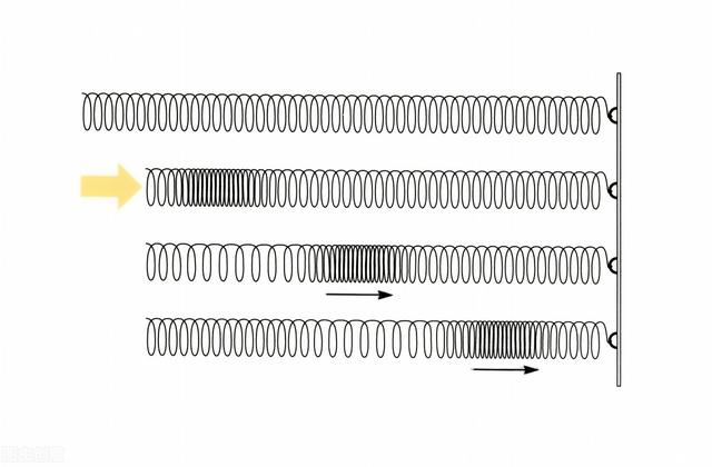 横波和纵波的区别，横波和纵波动画演示（地震发出的纵波和横波哪个更厉害呢）
