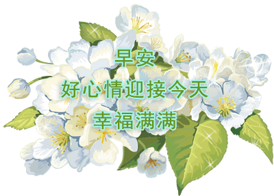 友情的句子唯美简短，友情的句子唯美简短发朋友圈（清晨唯美温馨的祝福问候语图片）