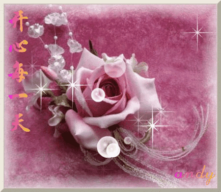 999朵玫瑰，送你999朵动态玫瑰花（999朵玫瑰邰正宵）