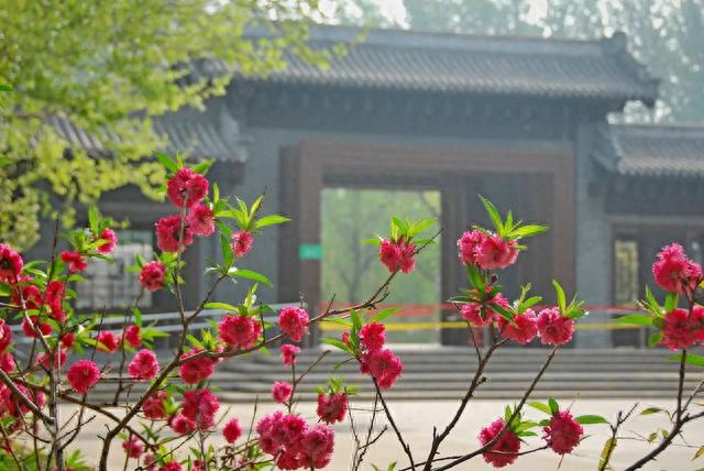 来津北森林公园，静享天然“氧吧” 一起“森”呼吸……