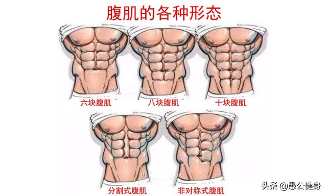 如何练出八块腹肌，腹肌锻炼方法（怎样才能练出八块腹肌）
