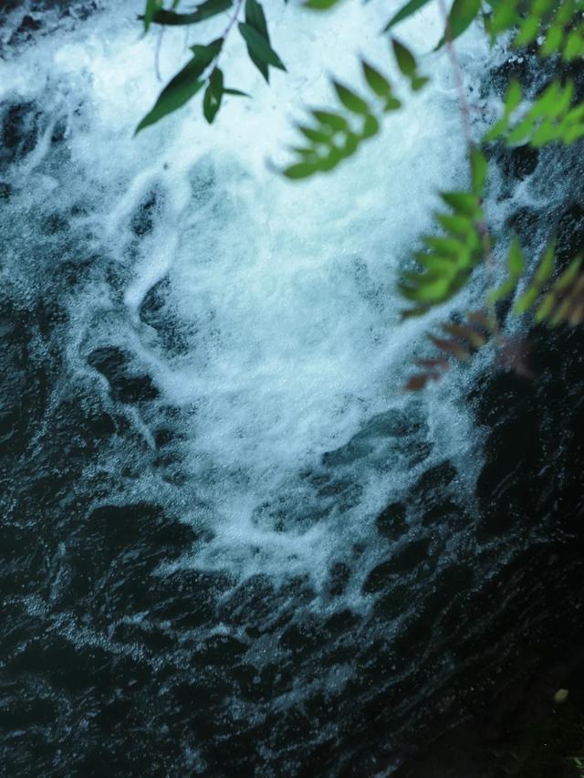 什邡市景点，什邡景点旅游景点（成都周边绝美“禁林”）