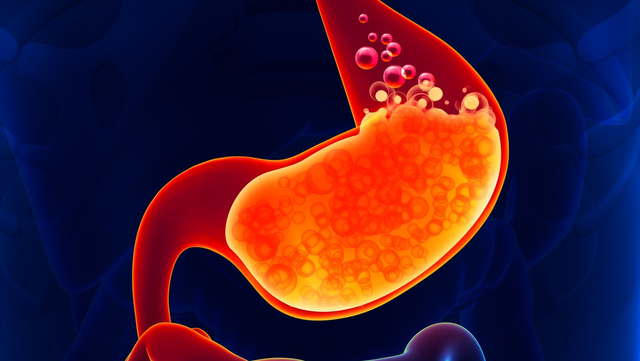 鸡内金片的功效与作用，鸡内金片的功效与作用和主治（每天吃鸡内金来消食健脾）