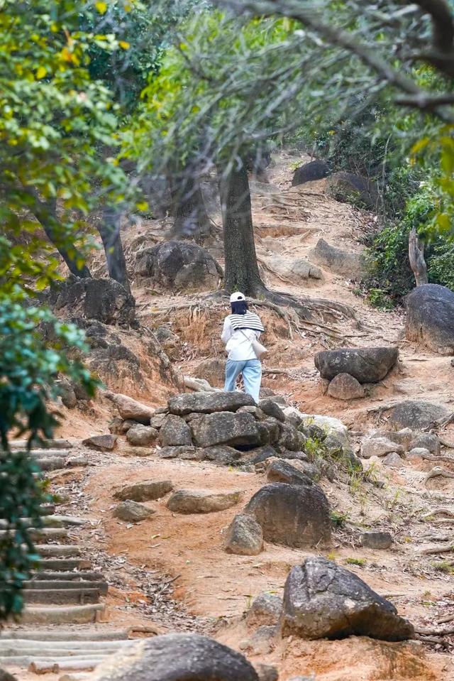 深圳徒步路线推荐，深圳海滨栈道徒步最佳路线（深圳10条徒步路线）
