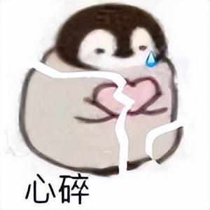 好看的表情包(10000种表情包图片大全)