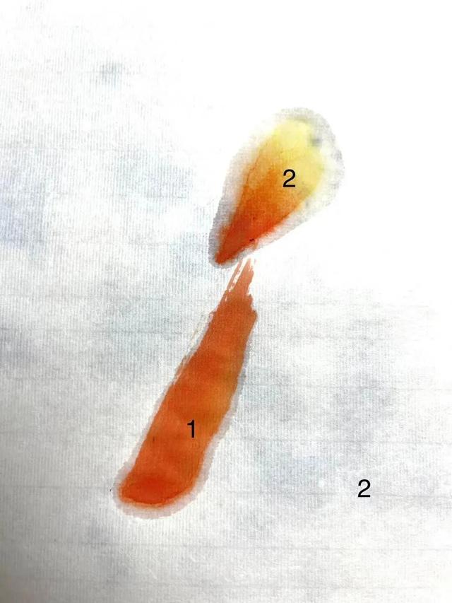 简单的鸟怎么画，如何画简易的小鸟（画家刘华：鸟的画法）
