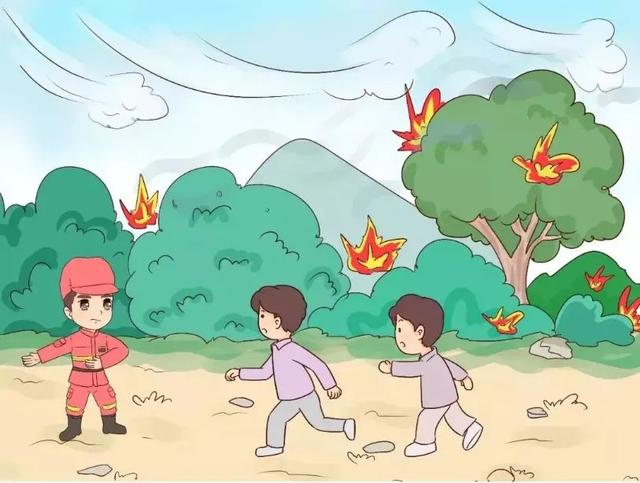 关于保护森林的一段话，关于保护森林的一段话总结（森林防灭火丨森林防火）