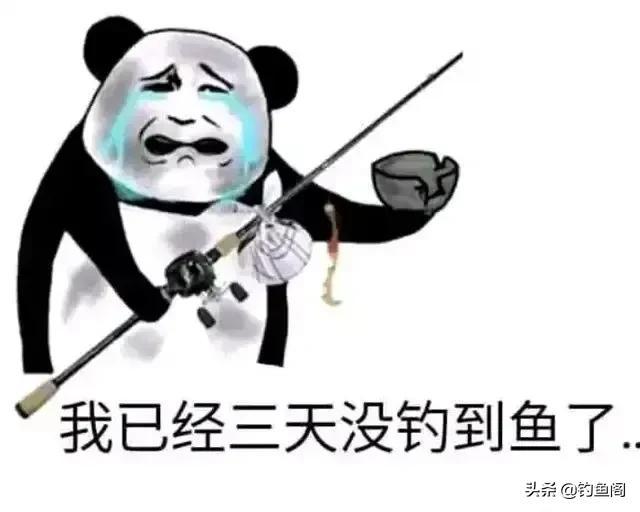 快乐垂钓网：探索钓鱼乐趣，享受自然宁静与收获的双重满足