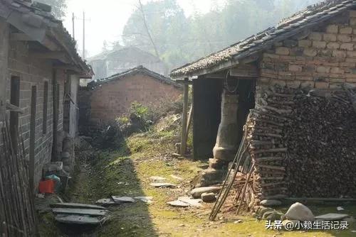 自离了是不是没工资了，自离不给工资合法吗（在广州黄埔年收入3000万）