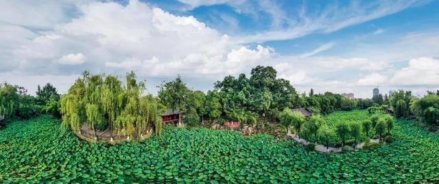 各地荷花景点，今年夏天，去这些地方拍荷花