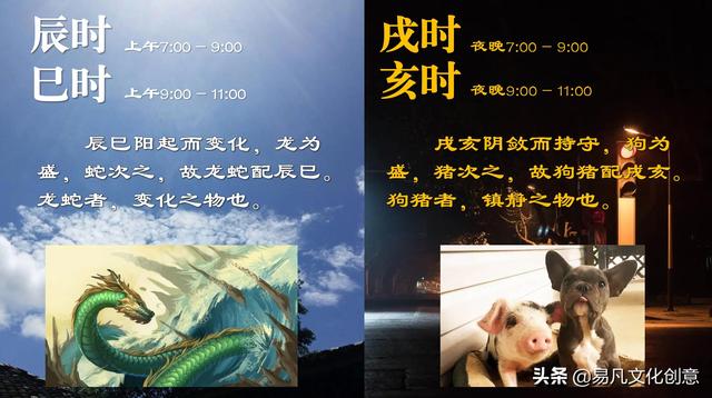 十二生肖什么肖是喜肖，十二生肖什么肖是喜肖（明确阐述了十二生肖动物的搭配原理）
