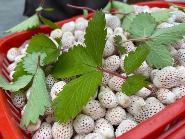 汉中旅游景点排名推荐，汉中旅游景点大全排名榜（在汉中一年四季可以这样玩 →）