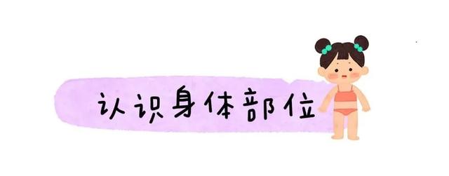 皮肤九小层分别是什么，皮肤九小层分别是什么图片（上学前教孩子认识自己的身体）