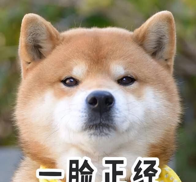 口红是用什么东西做出来的，请问口红是用什么东西做的（唇膏中的主要成分你知道有哪些吗）