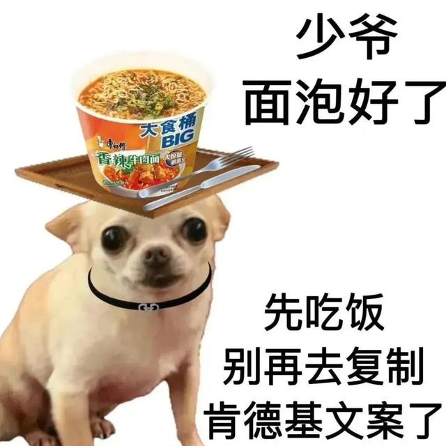 萌宠表情包，微信头像，萌宠表情包（萌宠表情包：我的爱是垃圾吗）