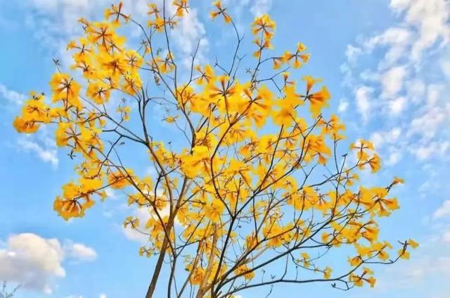 二十四节气 秋天，秋分