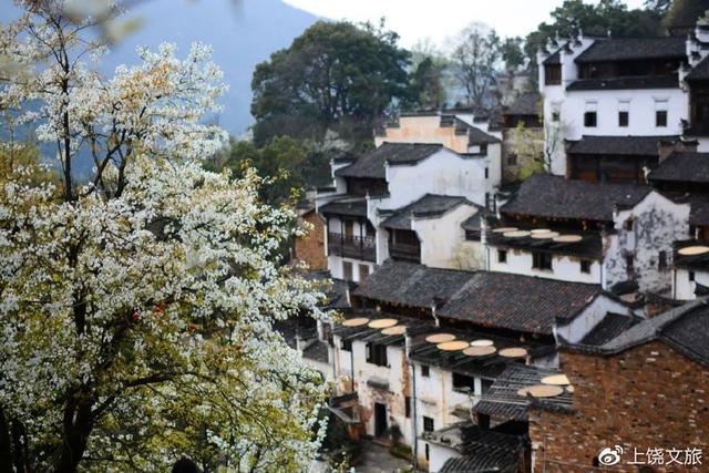 江西婺源最佳旅游景点，无论踏进婺源哪个村庄
