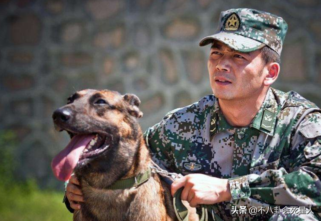现代军旅电视剧大全集，军旅题材电视剧（《王牌部队》看不下去）