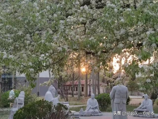 廊坊师范学院是一本还是二本，廊坊师范学院是几本_是一本还是二本大学（廊坊师范学院：缩招已成现实）