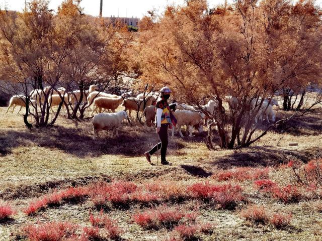 宁夏是哪个省份的城市，宁夏是哪个省（叫不出名字的宁夏首府）