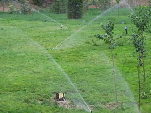 carrots是什么意思，carrots是什么意思英语（一年丢掉40%的食物）