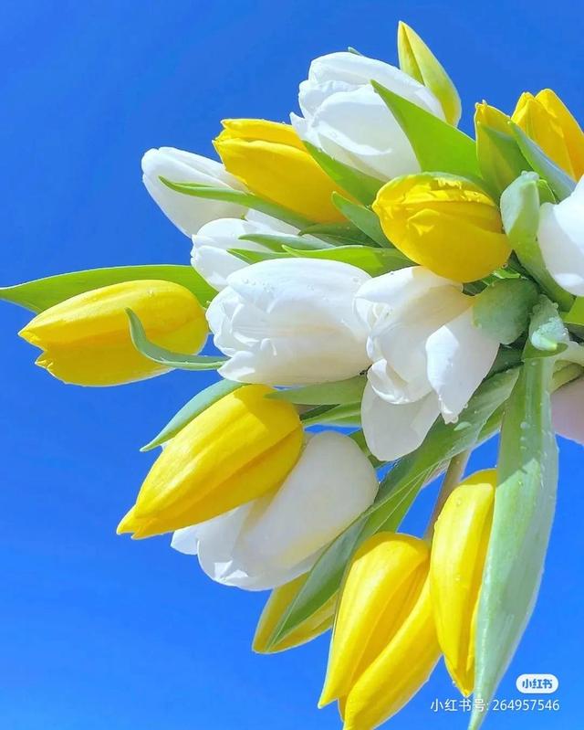 党内警告处分有什么影响，党内严重警告处分有什么影响（受到党内严重警告处分）