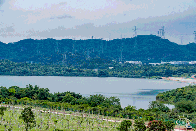 宝安中心地铁站(宝安客运中心附近地铁站)