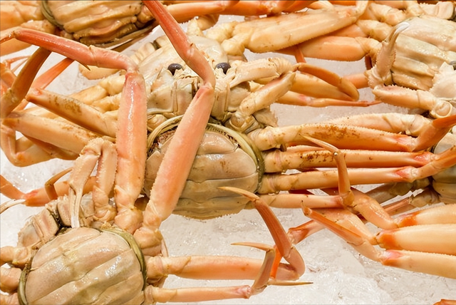 螃蟹的品种有哪些，什么品种的螃蟹（带你认识不同的螃蟹和吃法）