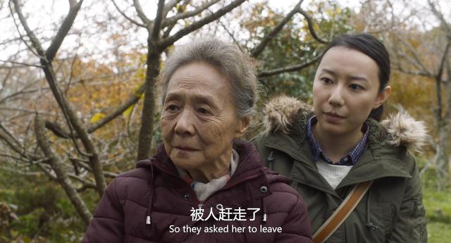 刘德华蔡锷介绍，刘德华饰演蔡锷（《心居》10位演员演技排名）